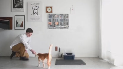 CleanPaws Litter Catching Mat